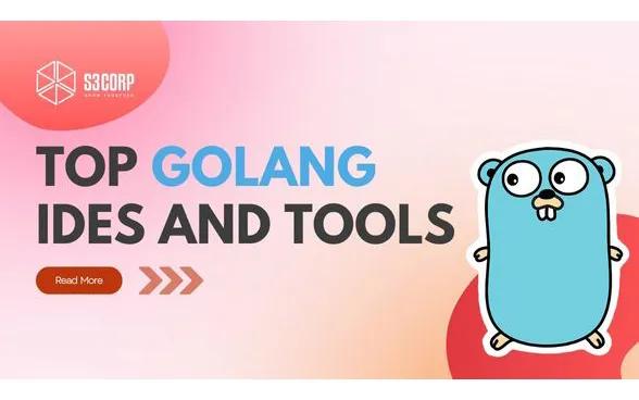 Insight New Detail: Top Golang IDEs and Tools for Developers 0