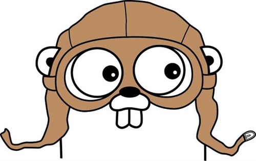 Golang -500x 330