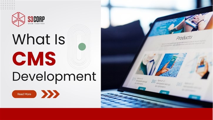 What Is CMS Development S3Corp.